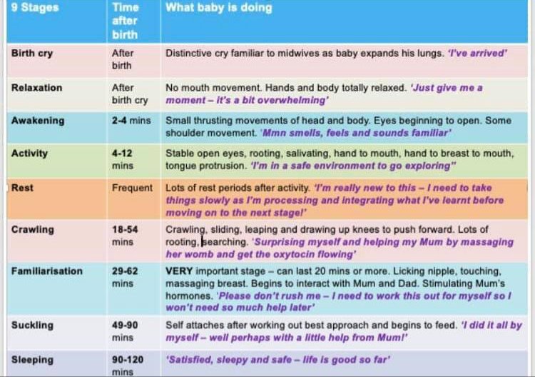 Solihull_IFT's tweet photo. Do you know about the magical first hours? After baby is born they go through 9 instinctive stages if left undisturbed in #SkinToSkin contact with their mother. This promotes maternal attachment; supports brain development; inc breastfeeding rates &amp; duration; calms/regulates baby https://t.co/Ntps6kZHZ9
