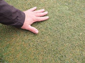 Yes, summer decline can be a major problem in Bermudagrass greens.  Check out the contributing factors and management strategies in this #GST Talking Turf:  bit.ly/TT_06172019