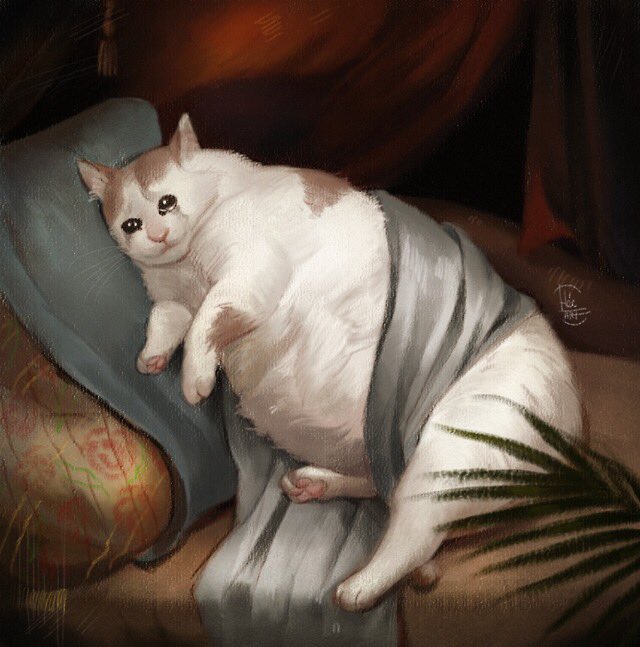 sad fat cat