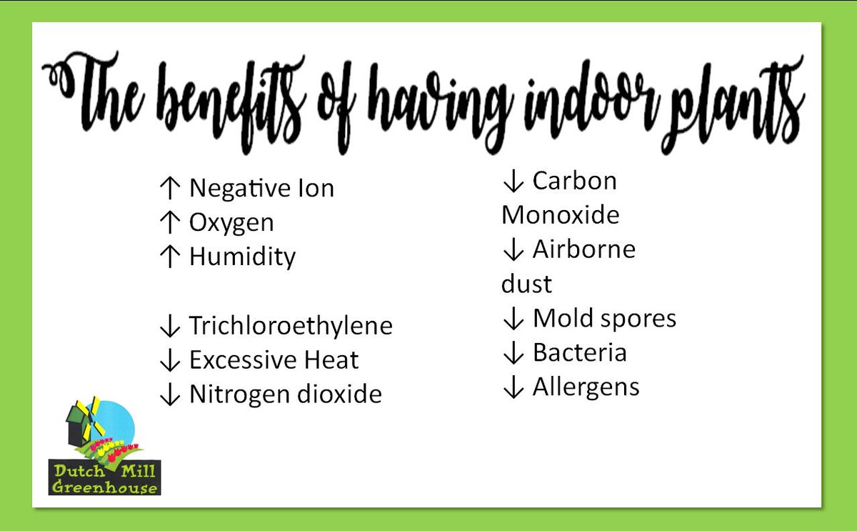 Plants are our friends.