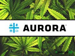 letsreup's tweet image. The new number one #stock on @RobinhoodApp might surprise you. Check out how @Aurora_MMJ beat @Apple for the top spot, and what this means for the future of #cannabis investment from @FortuneMagazine.
fortune.com/2019/06/17/thi…