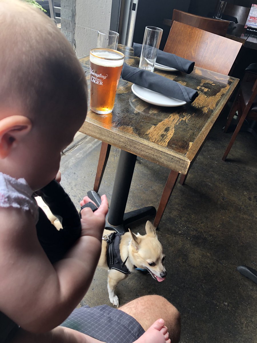 NickFoleyNews's tweet photo. Babies, beers and good boys. Thanks @ChicksPhilly for the cool spot. #beer #humidashell https://t.co/4urvBzmPP0