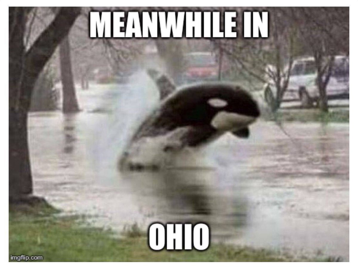 OhioConquer's tweet image. 