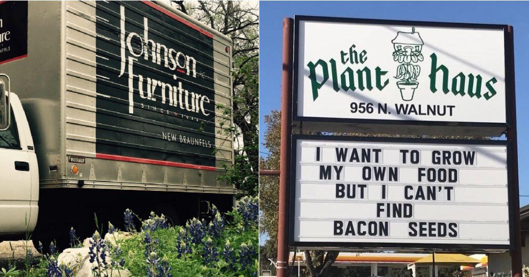 New Braunfels Conservation Society on Twitter "Don't to vote