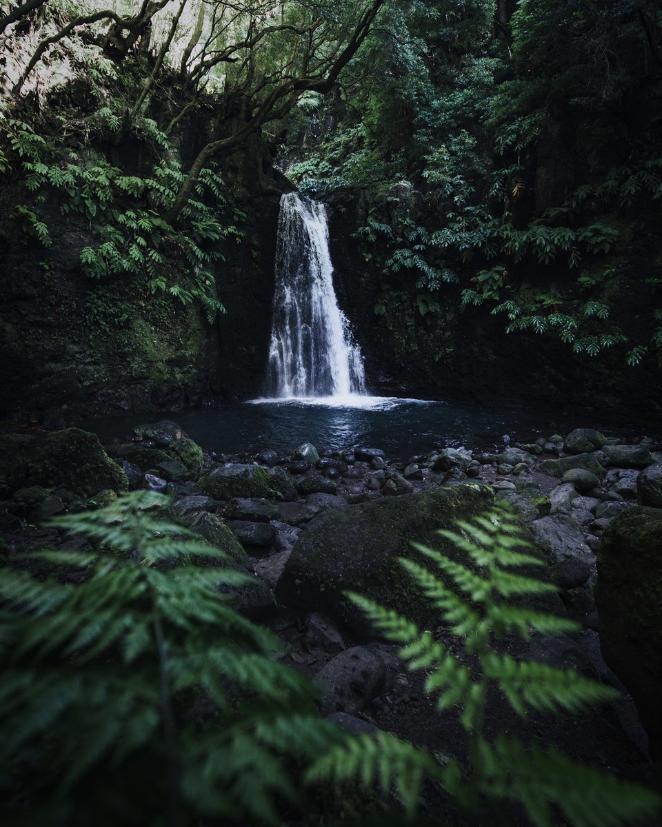 Lush Life on the Azores.