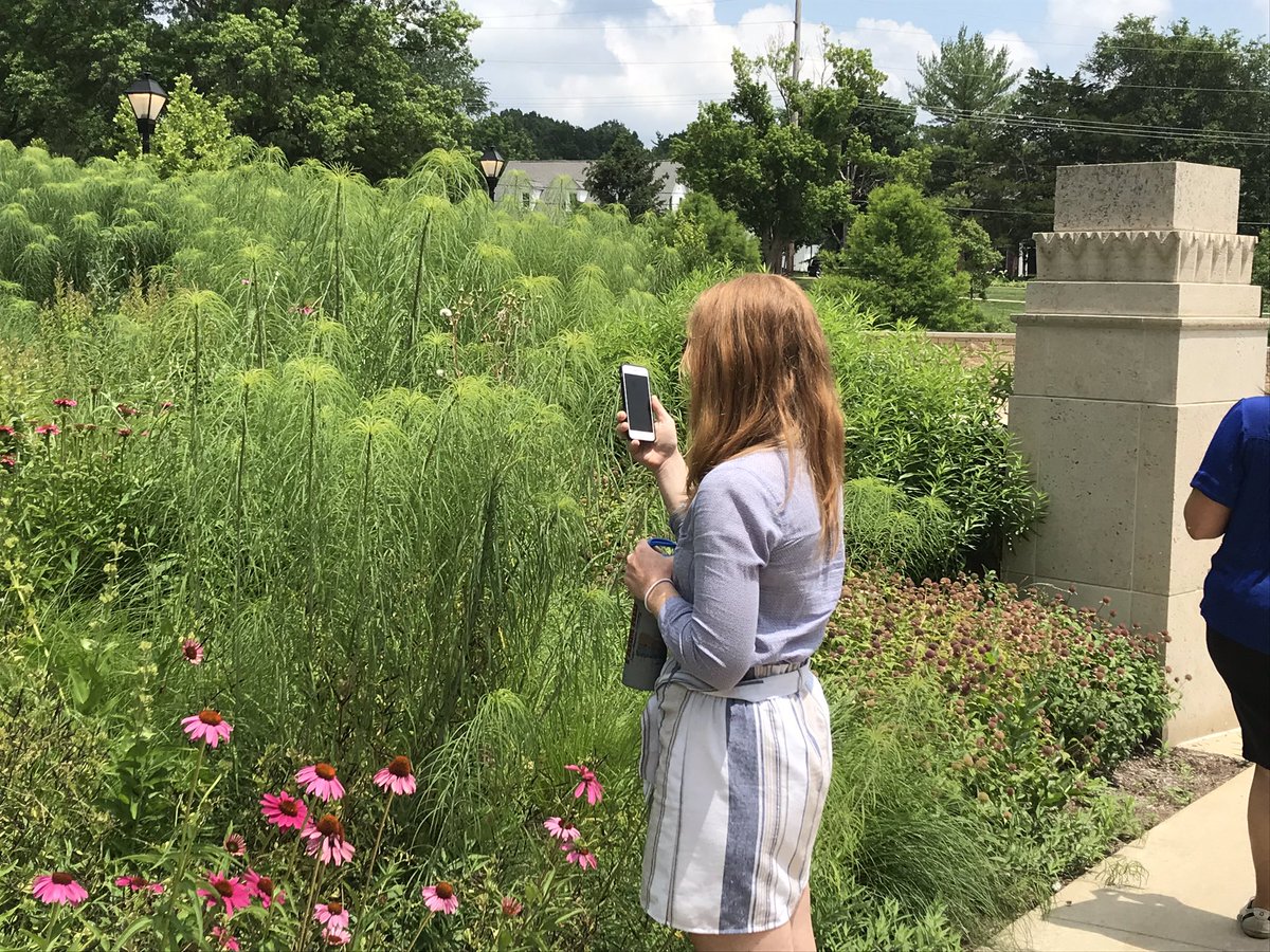Lynnear3's tweet image. Participants learning about iNaturalist and ideating how how this amazing tool can be incorporated into their classroom #sie2019 #prinprogress