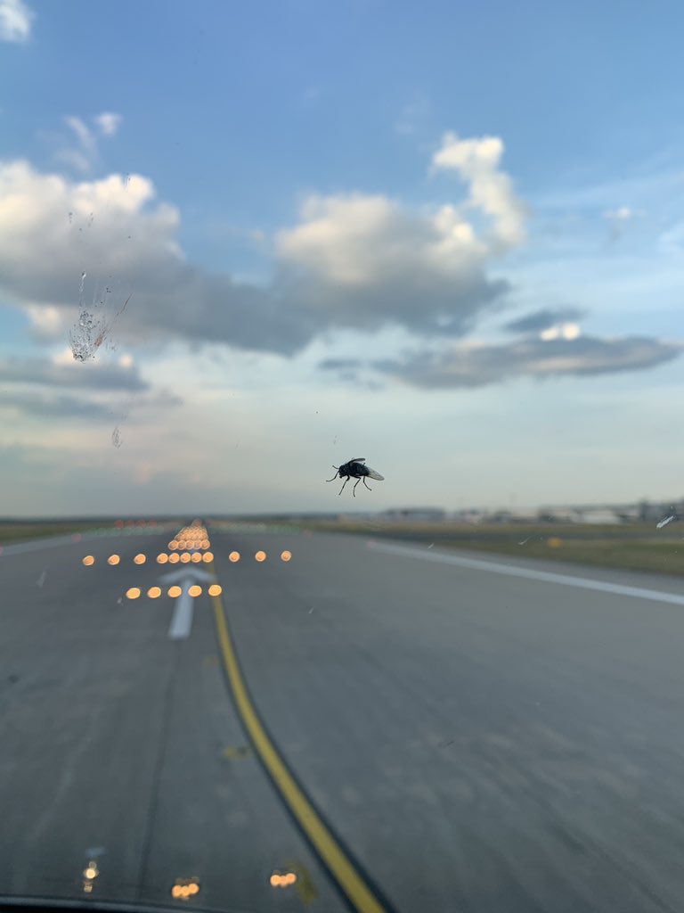 patricefnk's tweet photo. Aligné, en attente de clearance décollage...
Elle s’est quand même accrochée jusqu’à plus de 100kt ( 180 km/h ) avant d’abandonner 💪🏻💪🏻💪🏻 😂😂🚀🚀🚀#supermouche 🚀🚀 https://t.co/PcWIBi9YFl