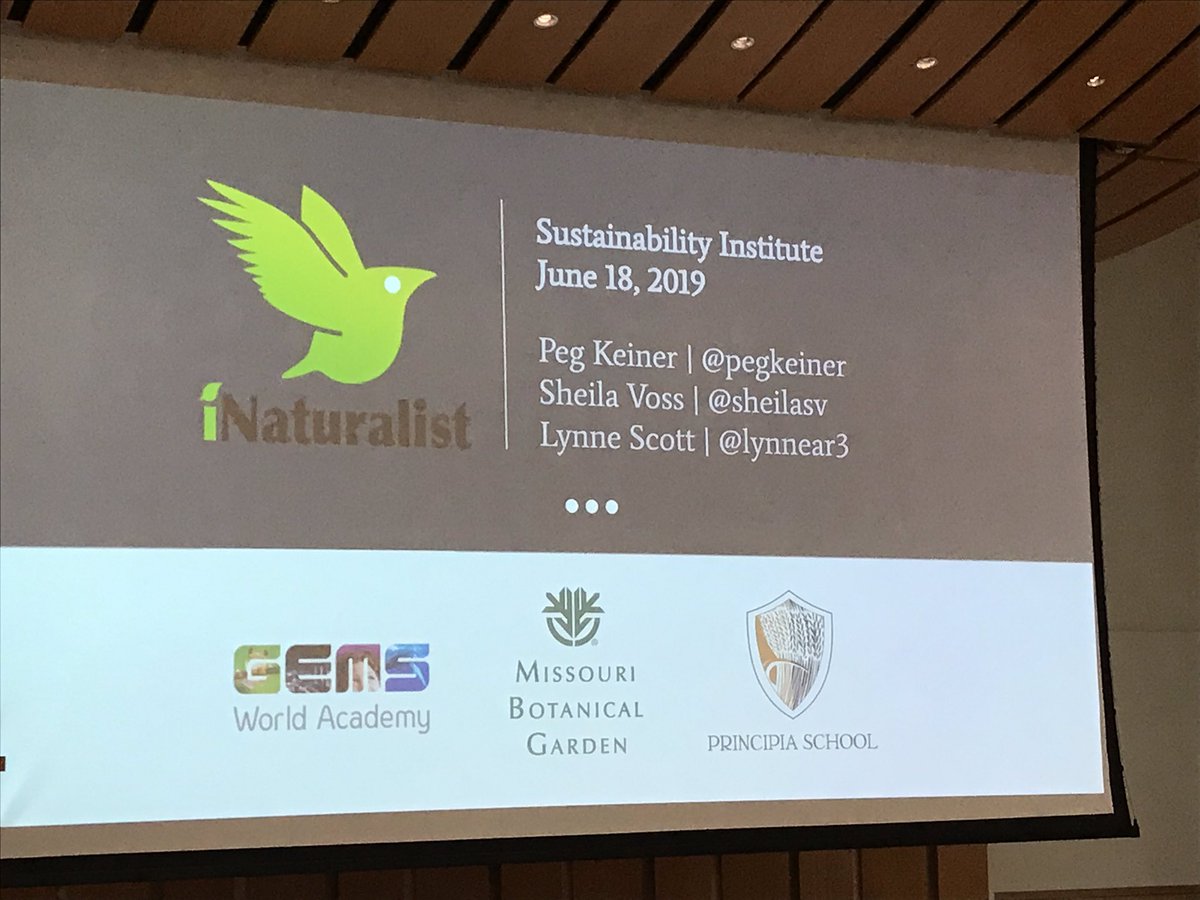 Lynnear3's tweet image. Presenting at Sustainability Institute for Educators with @PegKeiner @sheilavoss  #sie2019 #prinprogress