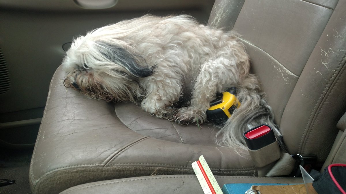 markas425's tweet image. Queen Ebbe... Ruler of my heart❤