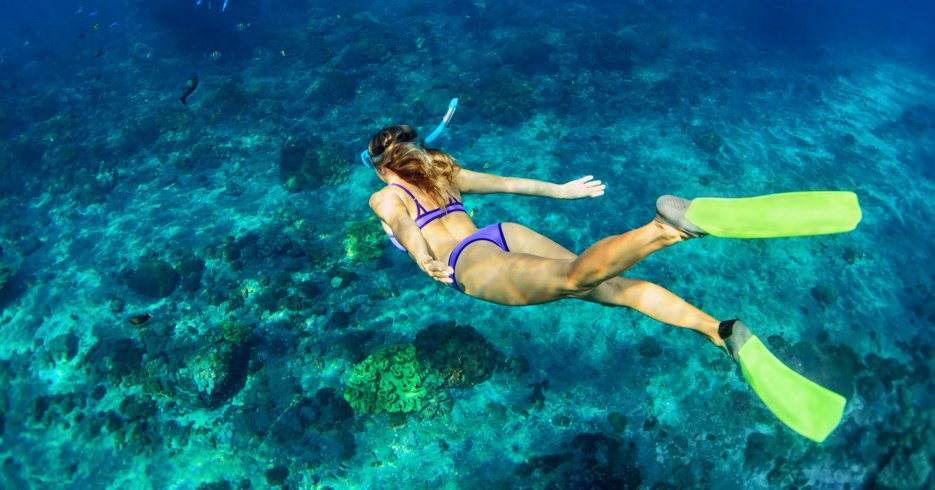Snorkeling is better in the #bahamas
.
#itsbetterinthebahamas #eleuthera #pinksandbeach #governorsharbor #rocksound #eleutheratours #bestbeaches #pigbeachbahamas #potcakes #summervacation #fortlauderdalemagazine🌅🌴😃 #travelblogger