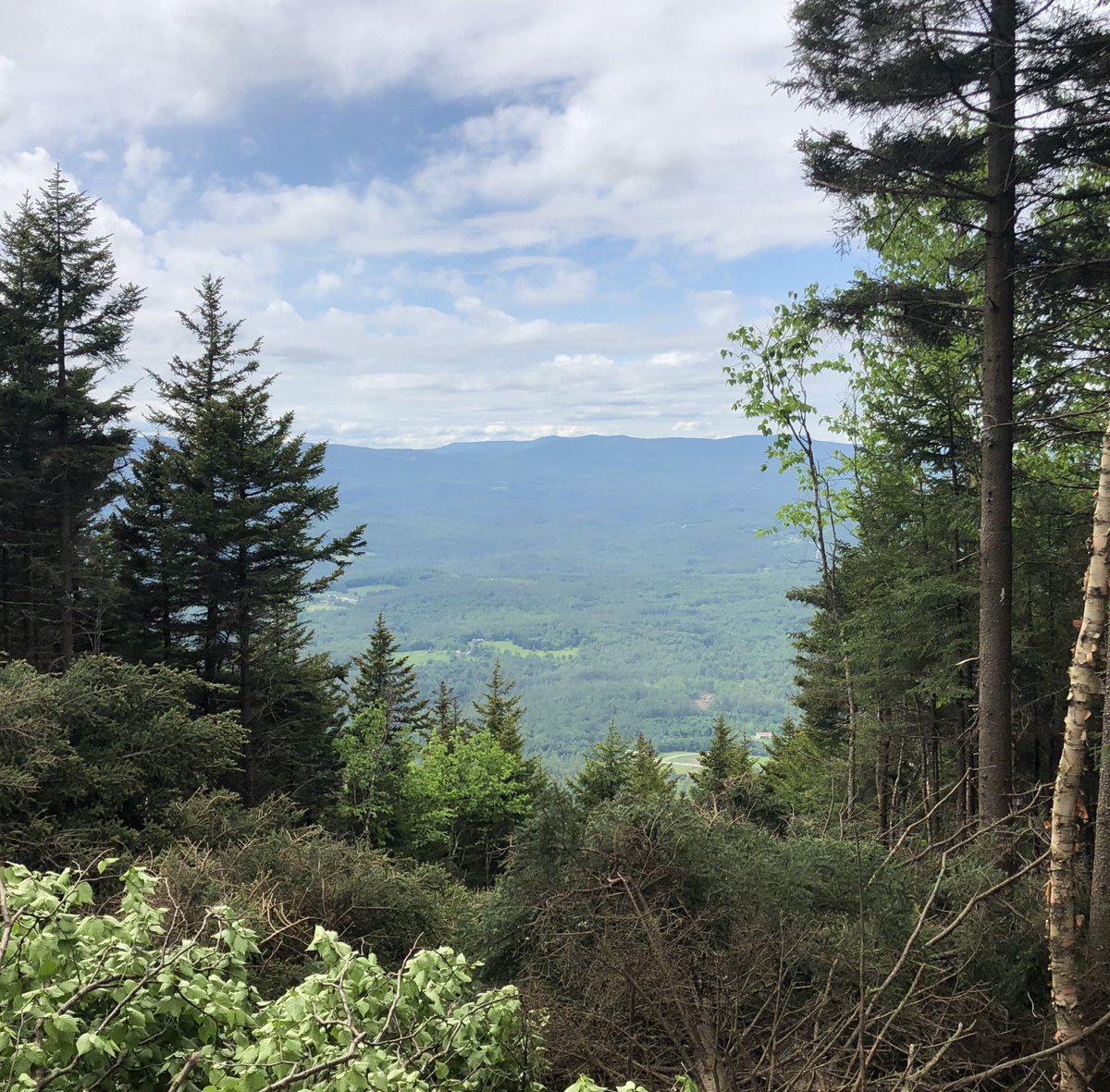 Magic Mountain tweet media