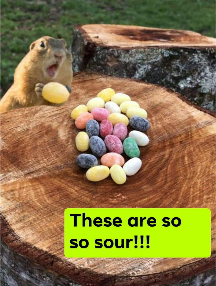 SpectrumConfect's tweet image. Our Spectrum Confections CBD jelly beans might be toooo sour.