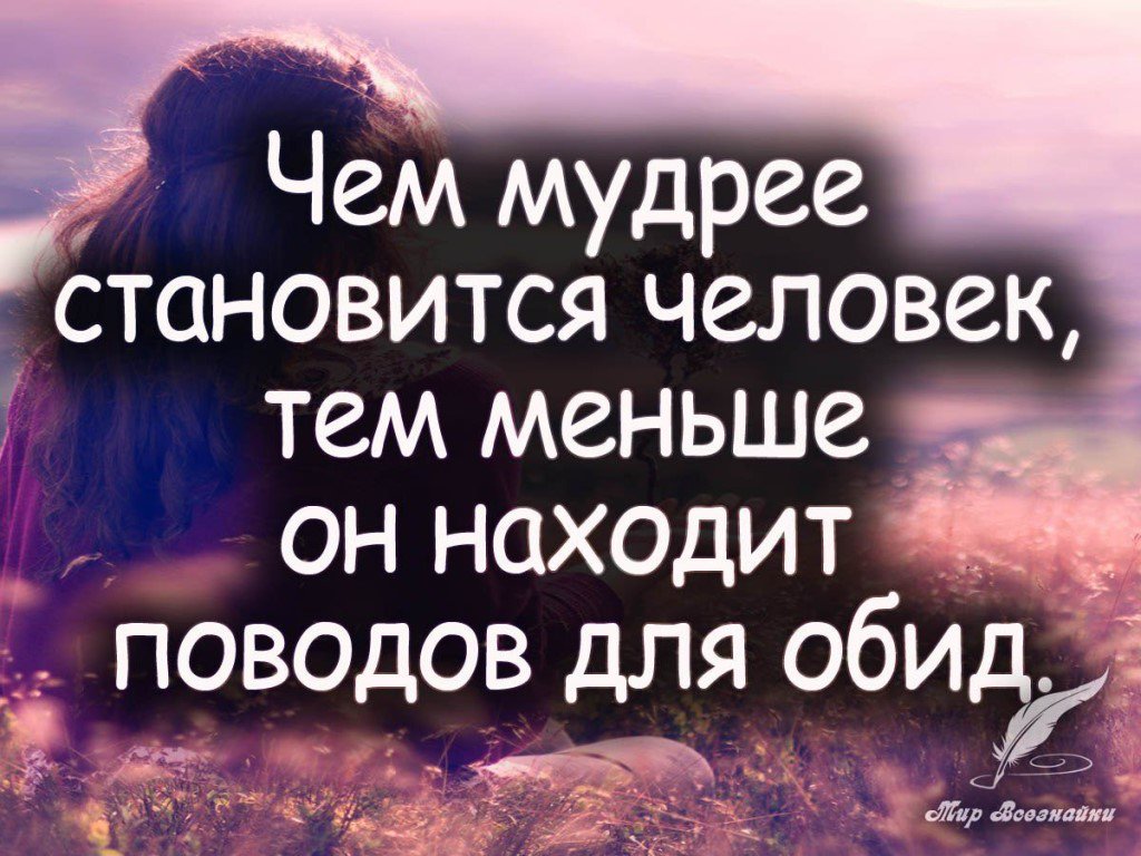 Картинка с мудростью, медведь картинки