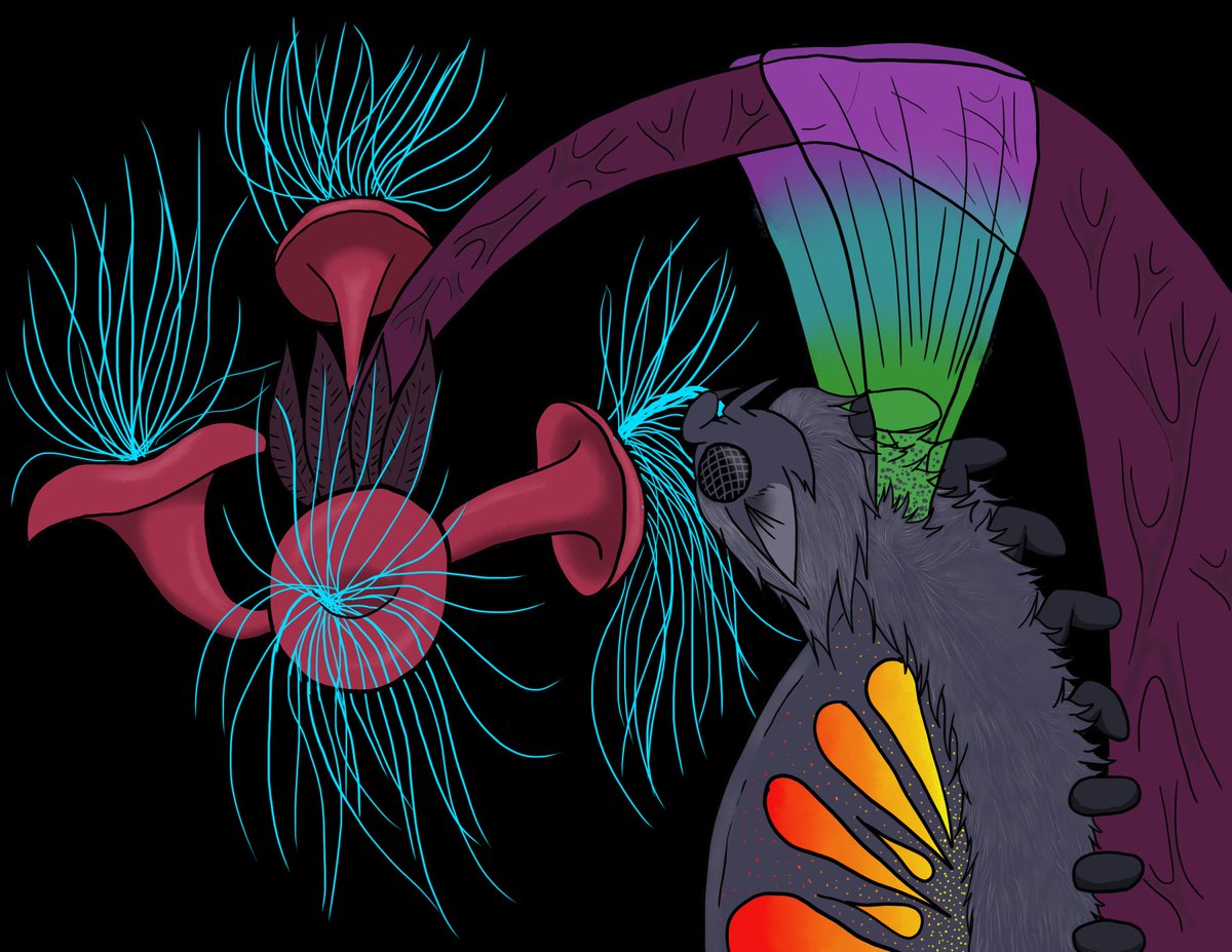 camillahuber's tweet photo. Introducing the Prizmala (per-is-ma-la). My final creature from my summer creature class. https://t.co/9TAEzS6AC5