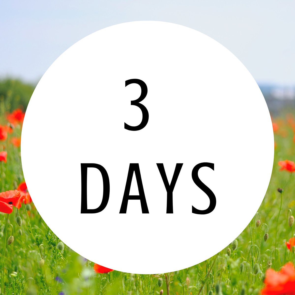 WE ARE 3 DAYS AWAY FROM MEETING THE FIRST ROUND OF BABY CAMELS AT ORIENTATION 🤩Come meet each organization as well as Panhellenic Council in Saylor Park on June 21st and learn a little about what makes us so special 💫 Sign up for recruitment today using the link in our bio 🍉☀️