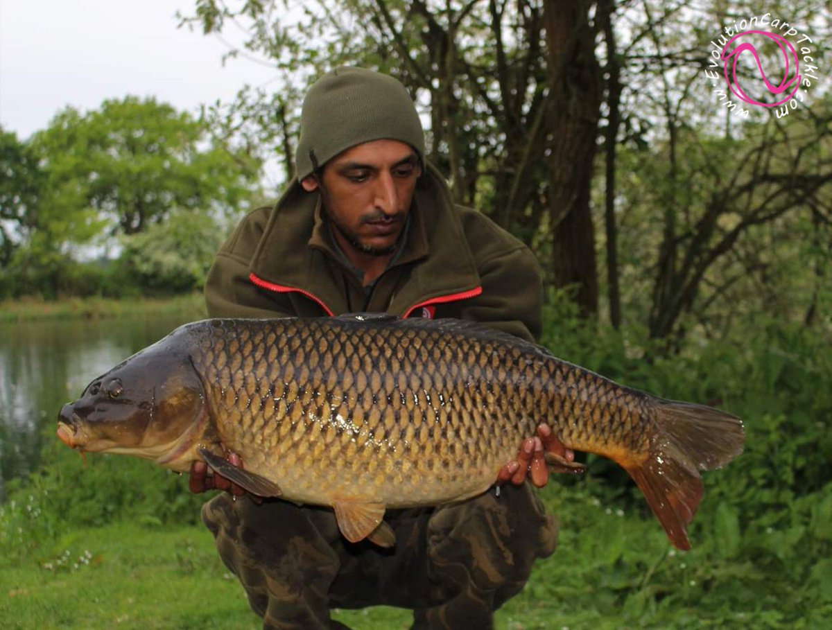 2 nights at one of consultant Sid Dubey favourite lakes, which resulted in 9 carp... all were commons and 4 tench to back them up.

Here are the best 5 from the session...

All landed, weighed, retained (when needed) and released in the NSR.

Evolutioncarptackle.com