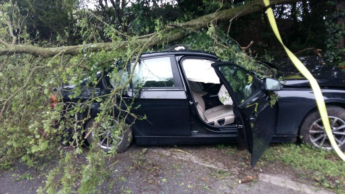 a6rescue's tweet photo. SINGLE VEHICLE RTA Tonight A6 Sharnbrook roadclosure in place whilst we cleared the tree and made safe the area @a6rescue 
Car Vs Kestrel Vs Tree ! 
#wildlifeandtrafficdontmix
#a6rescue https://t.co/sG5B2gypr6