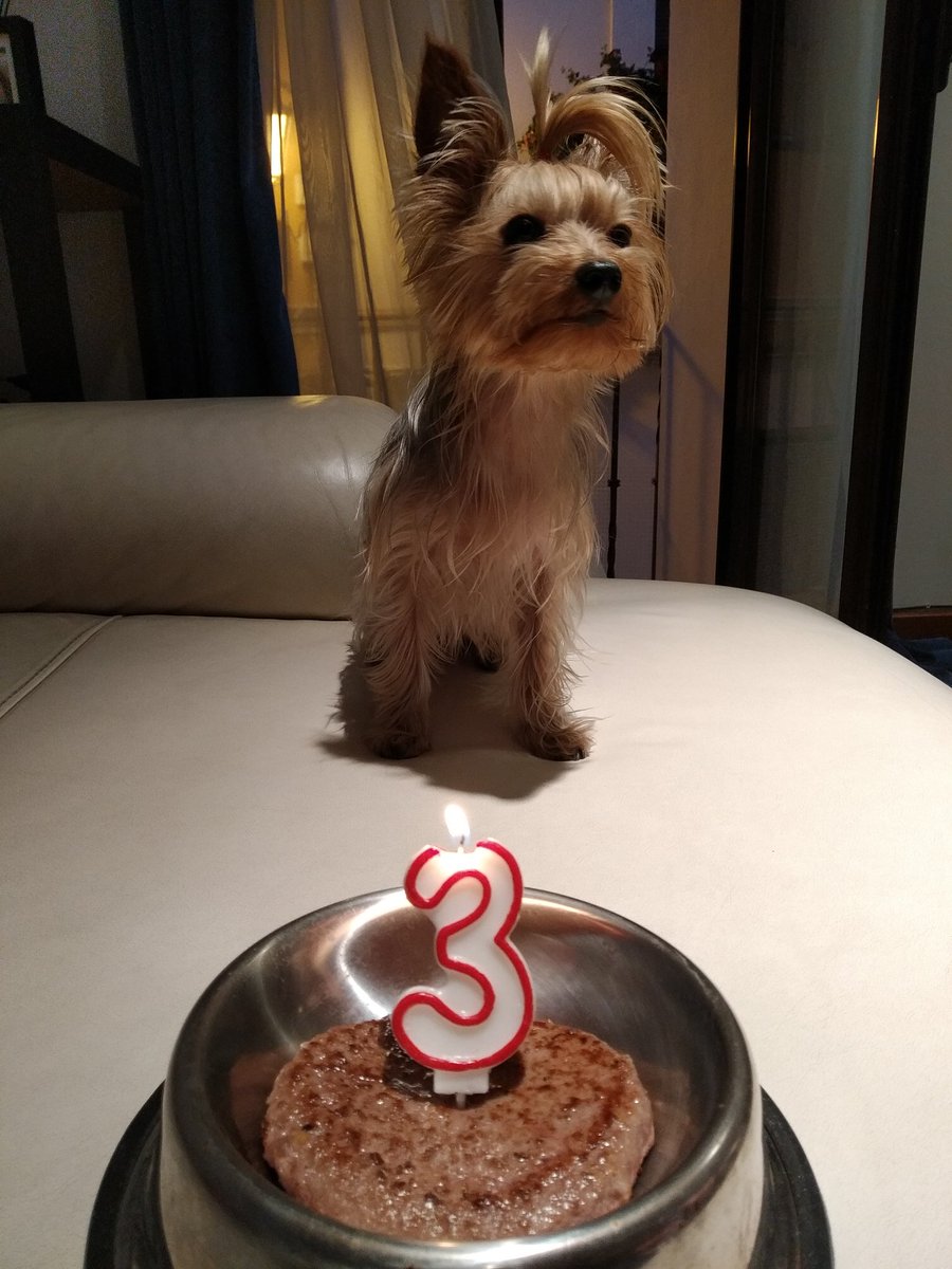 3 añitos ya y sigue igual de chica #bulma