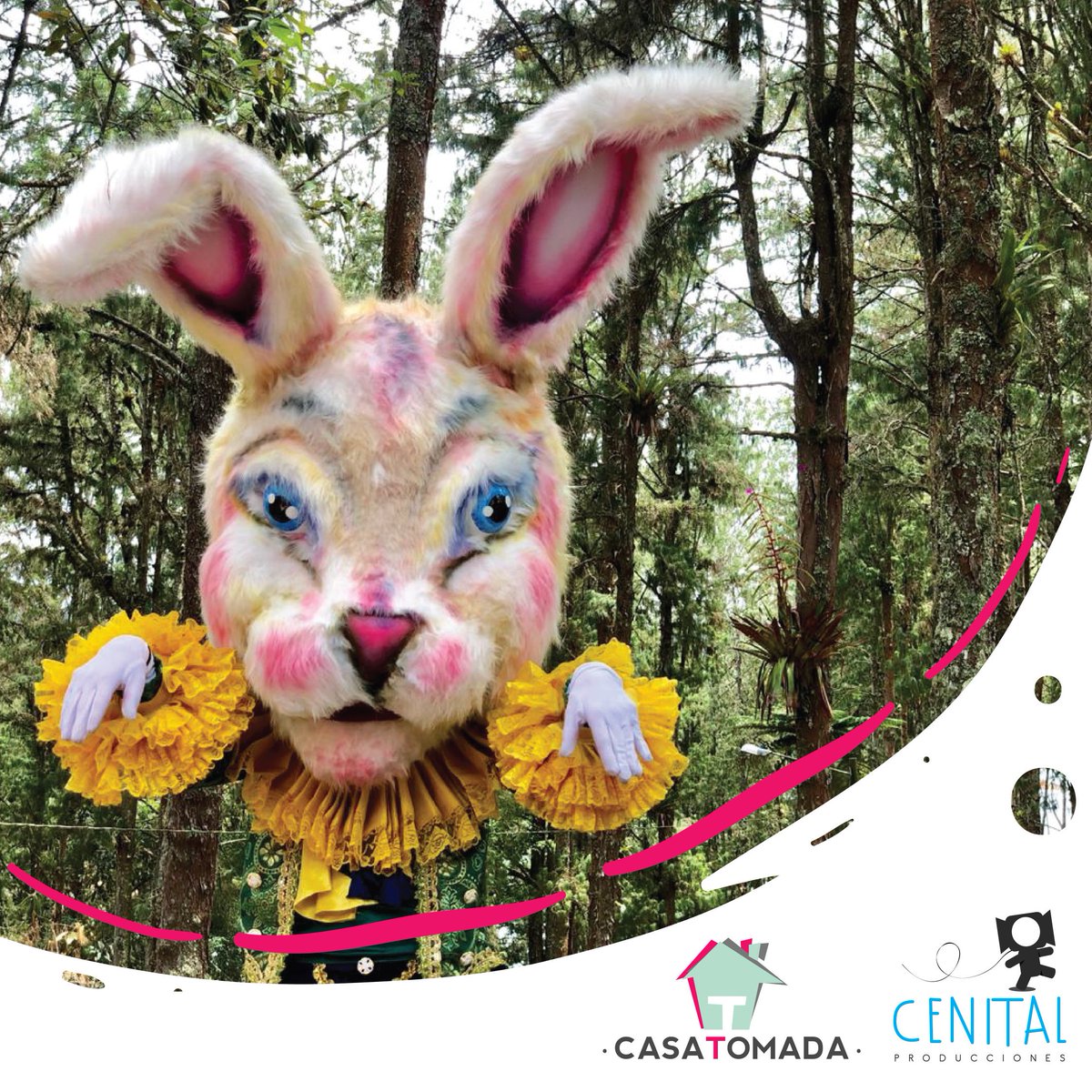 CasaTomadaMicro's tweet photo. 🔆Los animales aceptan y los humanos esperan. Nunca oirás a un conejo decir: espero que el sol salga esta mañana para poder ir al lago a jugar. Si el sol sale o no sale, no estropeara el día al conejo. Es feliz siendo un conejo🐰 - El caballero de la armadura oxidada⚔️
#Kataplum https://t.co/oES5LBluvT