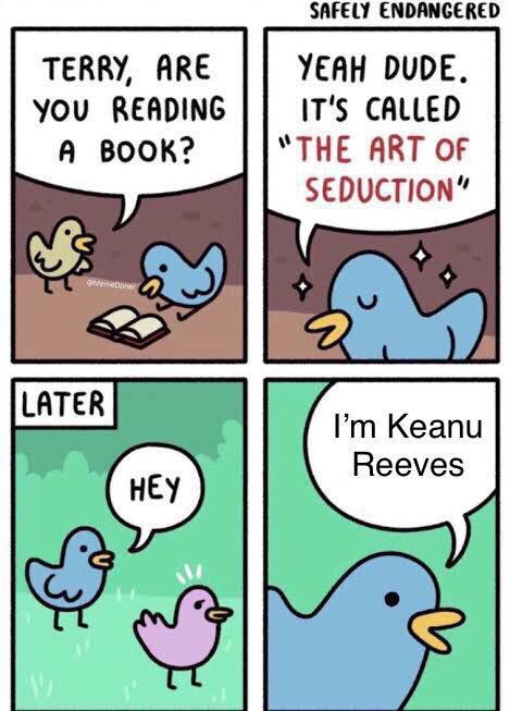 NotBehih's tweet image. 