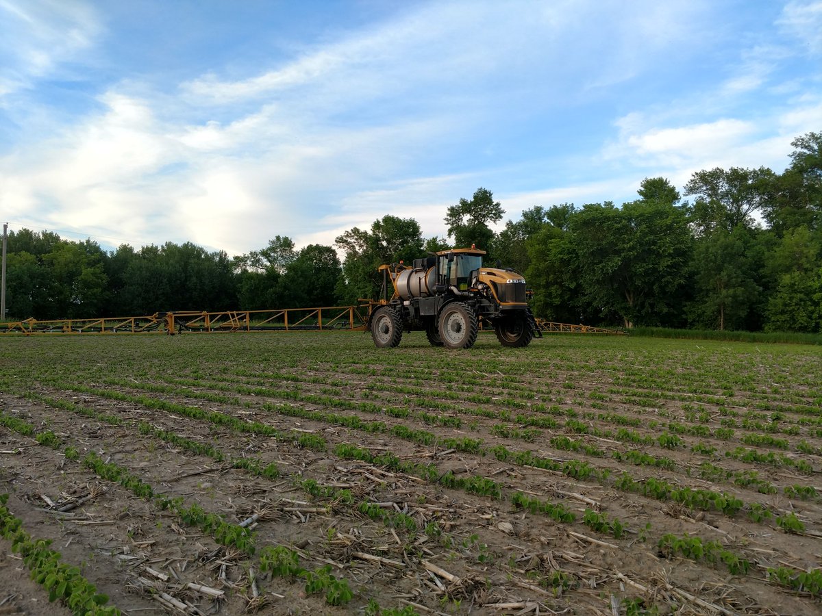 When you're sprayer goes down and you have beans to spray you steal the neighbors.<a href="/jjscherer09/">Jayden Scherer</a>