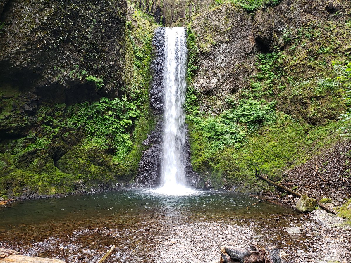 HikingRod tweet picture