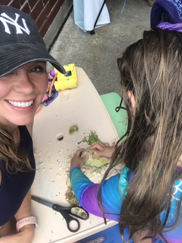 MsDeBottisbio's tweet photo. Dissecting our sunflower! #Summer2019 #mysciencenerd #partsofaflower https://t.co/94ZcH06XEB