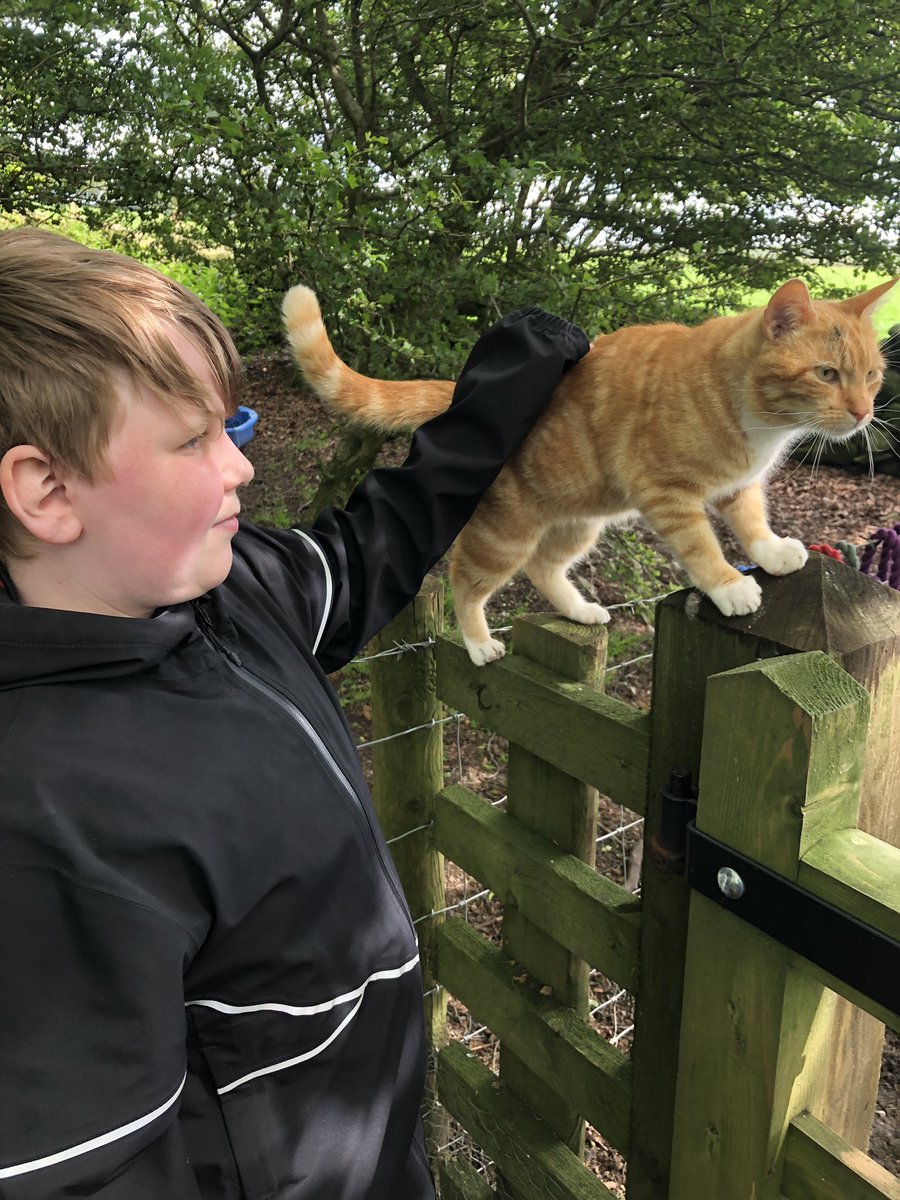 CcaEco's tweet photo. We had a fantastic farm experience for our forest school reward day.  The students and alpacas were all amazing!  Thank you for a lovely day Lucy @ThornwoodAlpaca, @Head_CoalClough @JackieInckle @halleron1. https://t.co/84vMKkUkzE