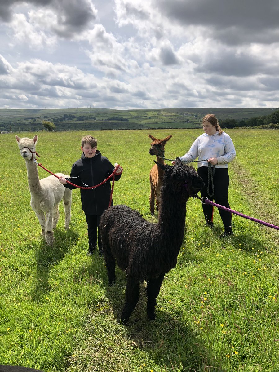 We had a fantastic farm experience for our forest school reward day.  The students and alpacas were all amazing!  Thank you for a lovely day Lucy @ThornwoodAlpaca, <a href="/Head_CoalClough/">Coal Clough Academy</a> <a href="/JackieInckle/">jacko</a> <a href="/halleron1/">Donna</a>.