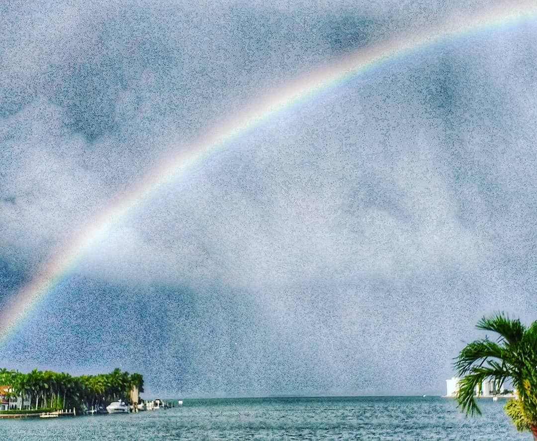 MiamiBeachPages's tweet photo. #RAINBOW 🌈 MIAMI BEACH
📷 partiufofa #BarbaraBecker #Arcoires #MiamiBeach https://t.co/2I2JlGyNaJ