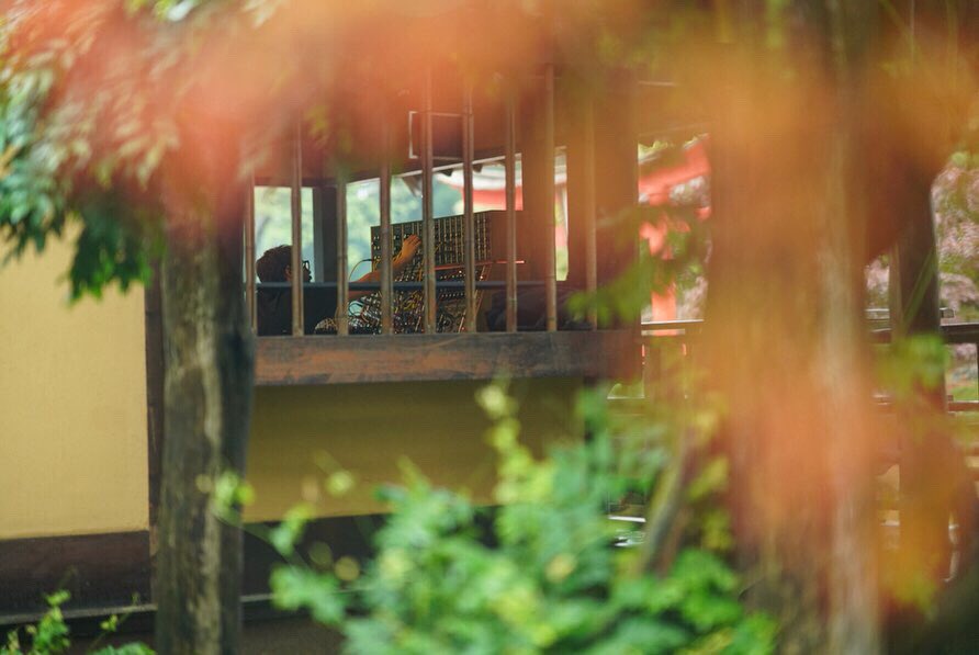 moogmusicinc's tweet image. Rhapsody in Green: @ghostly's Max Ravitz, aka Patricia, performs a long form, 4-hour, durational performance amongst the flora at the @BrooklynBotanic 

Learn more at: moogmusic.com/news/celebrati…

#MoogSystem55 #MoogModular