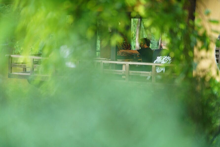 moogmusicinc's tweet image. Rhapsody in Green: @ghostly's Max Ravitz, aka Patricia, performs a long form, 4-hour, durational performance amongst the flora at the @BrooklynBotanic 

Learn more at: moogmusic.com/news/celebrati…

#MoogSystem55 #MoogModular