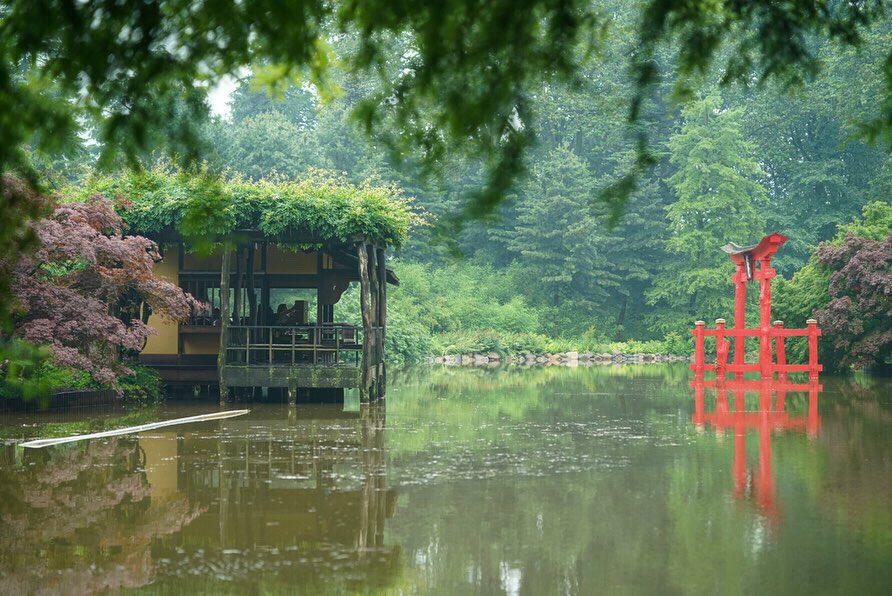 moogmusicinc's tweet image. Rhapsody in Green: @ghostly's Max Ravitz, aka Patricia, performs a long form, 4-hour, durational performance amongst the flora at the @BrooklynBotanic 

Learn more at: moogmusic.com/news/celebrati…

#MoogSystem55 #MoogModular