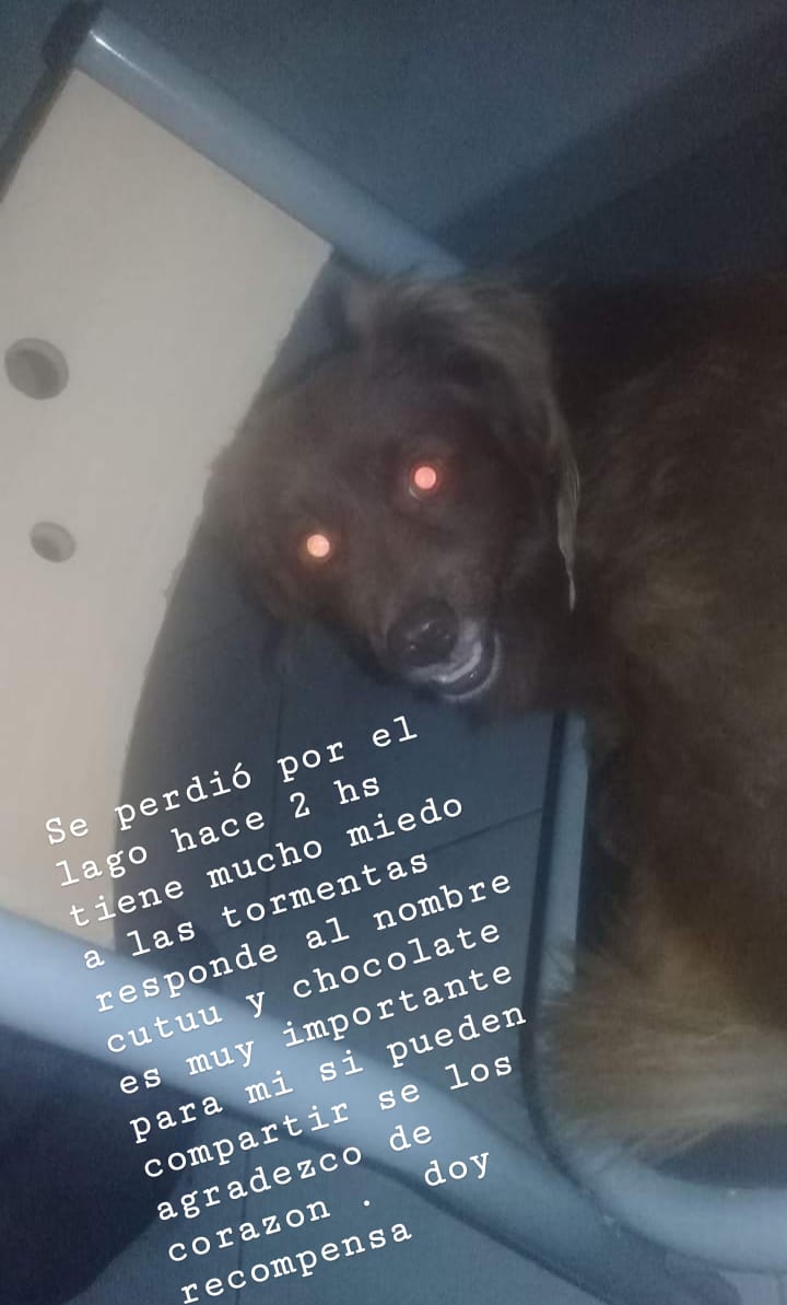 Por favor difundir .. Me siento muy triste se los vot agradecer de corazón que me ayuden abuscarlo