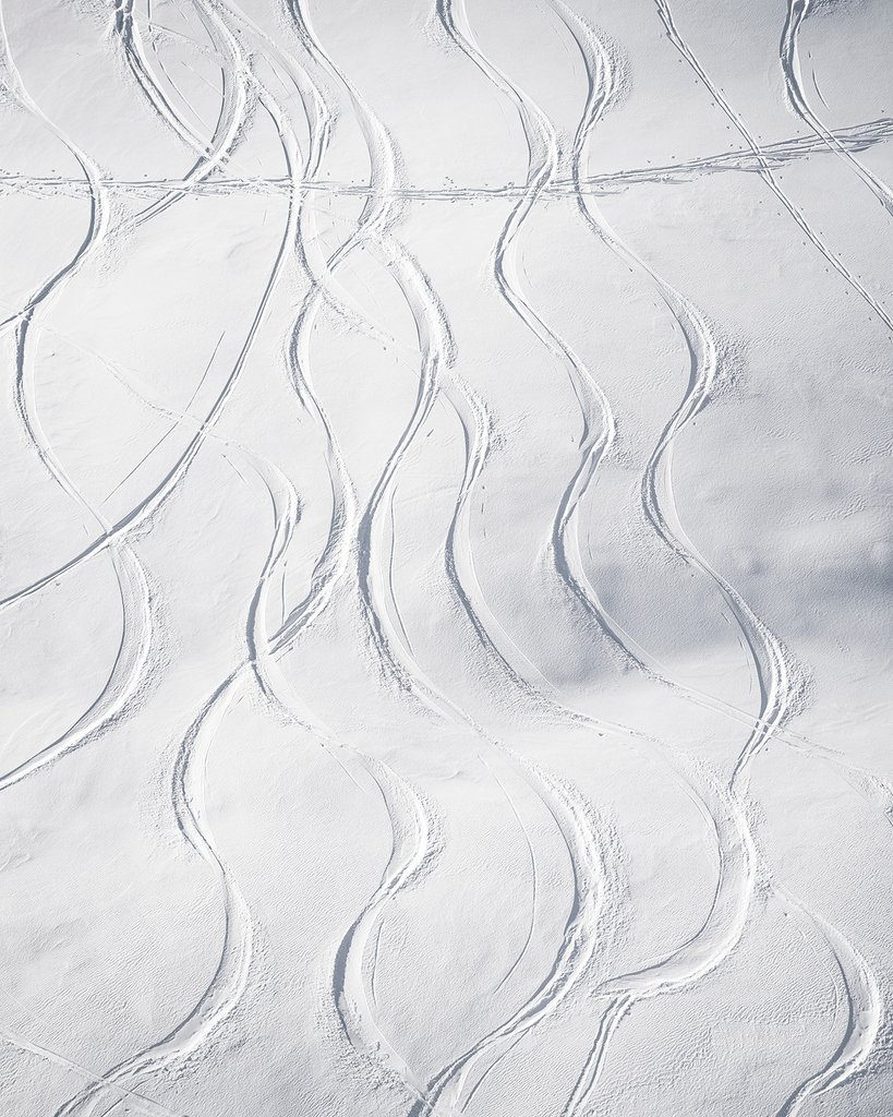 TyStedmanPhoto's tweet photo. 'Freeform' - taking you back to the snow for a few days. It has become my muse, a pure clean canvas. #newzealand https://t.co/0TVj2gWG62