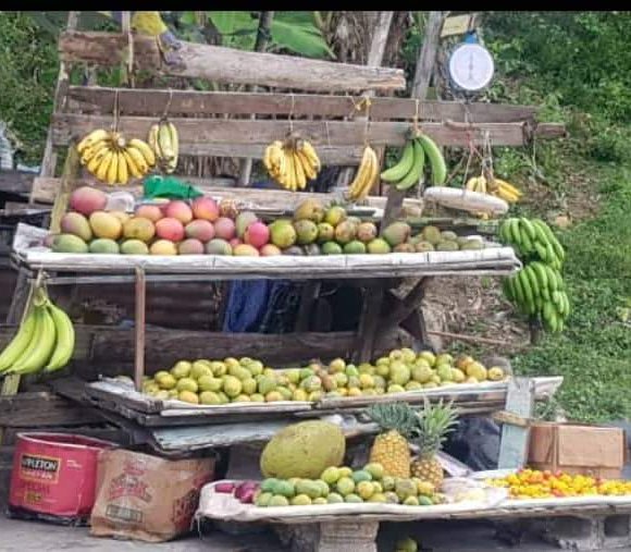 peregrine_tours's tweet photo. While driving through Jamaica there is only one kind of place to stop for snacks #JamaicanAdventure #SummerIsUponUs #JamaicanFlavor https://t.co/qsvJ76h2QD