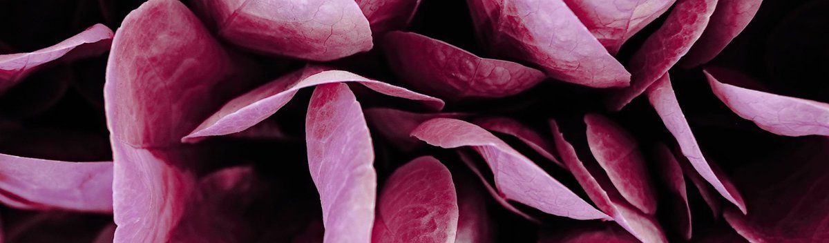 Yep, we still need business cards. (Sigh.) bit.ly/2wXFzL9