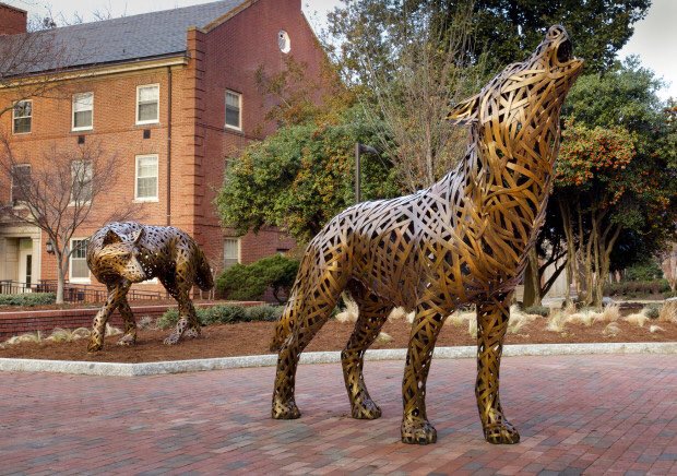 Derek_Fields20's tweet photo. I am proud to announce that I will continuing my academic and wrestling career running with the Wolves at NC State University! I’d like to give a special thanks to my friends, coaches, and most of all family for helping me get here! Go Wolfpack! 🐺 @PackWrestle @pat_popolizio https://t.co/JQaer7yMnh