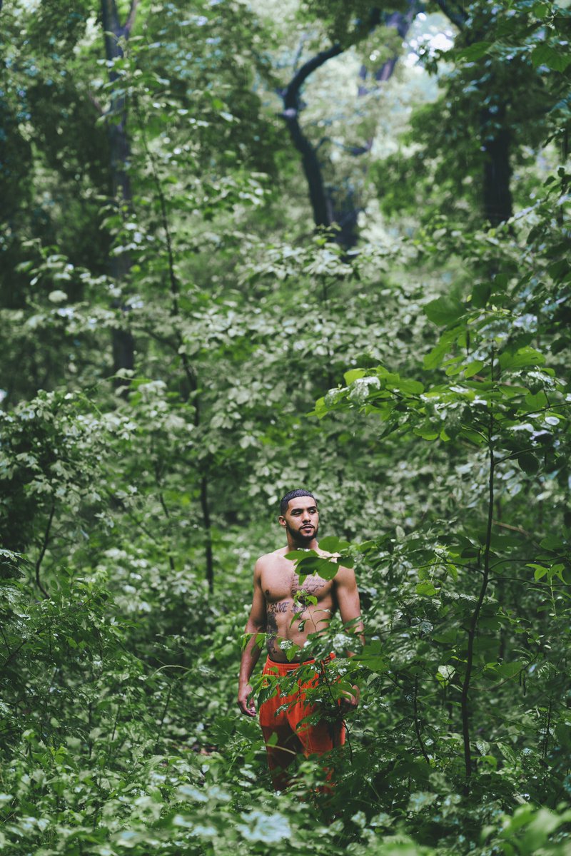 Brother Nature tweet media