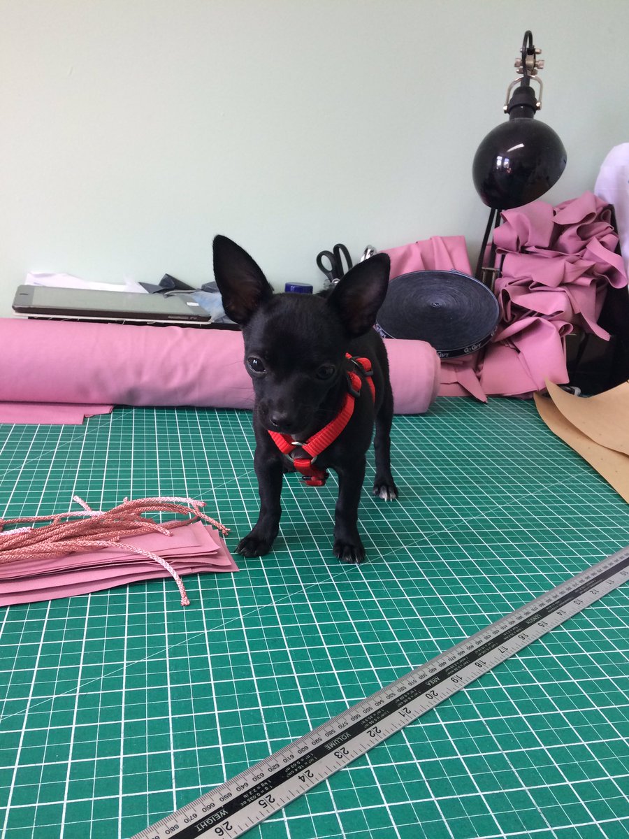 MENACE BEACH tweet media