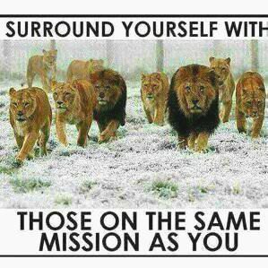 PstJudah tweet media