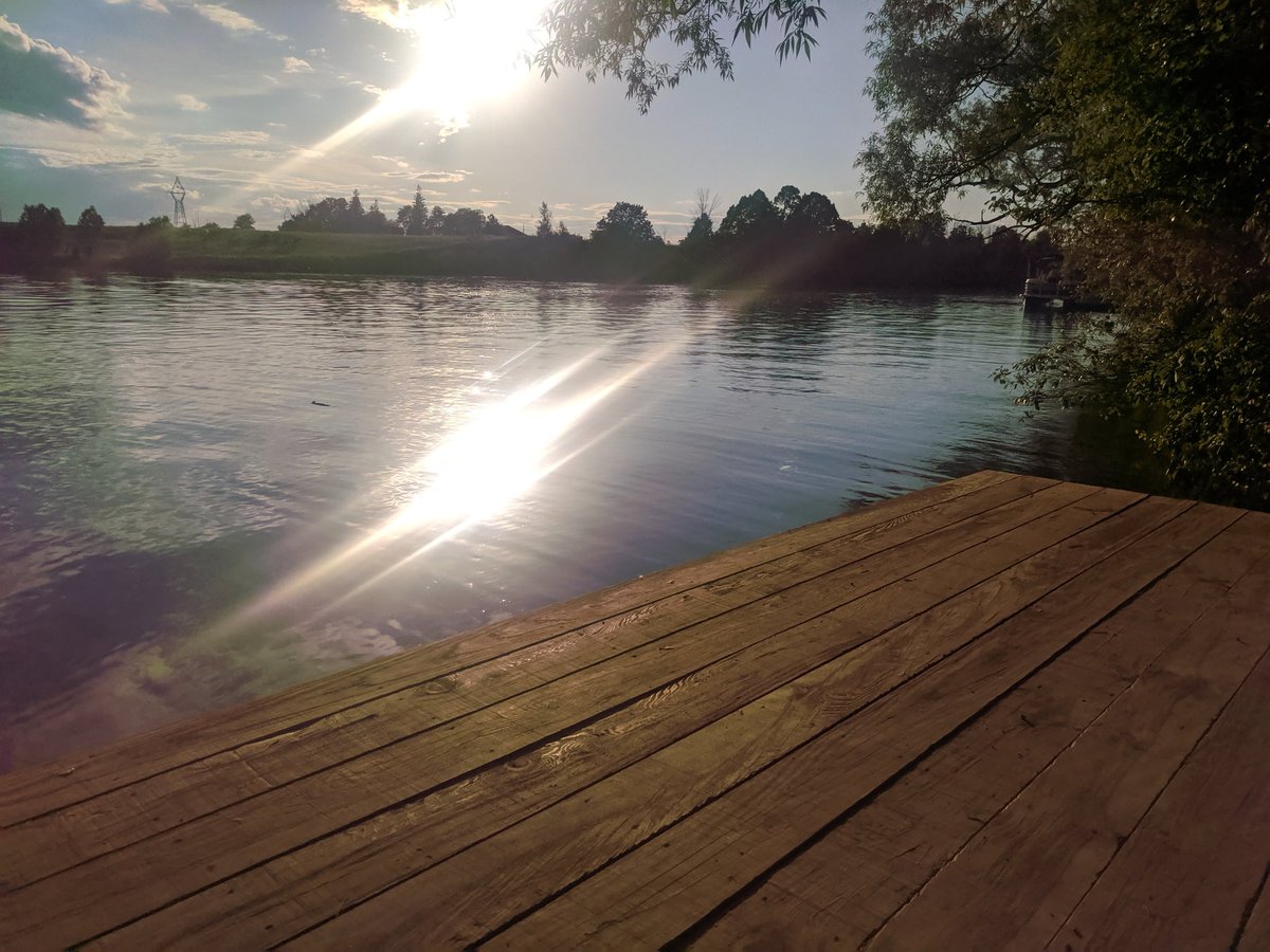 Anthony Dewar tweet media