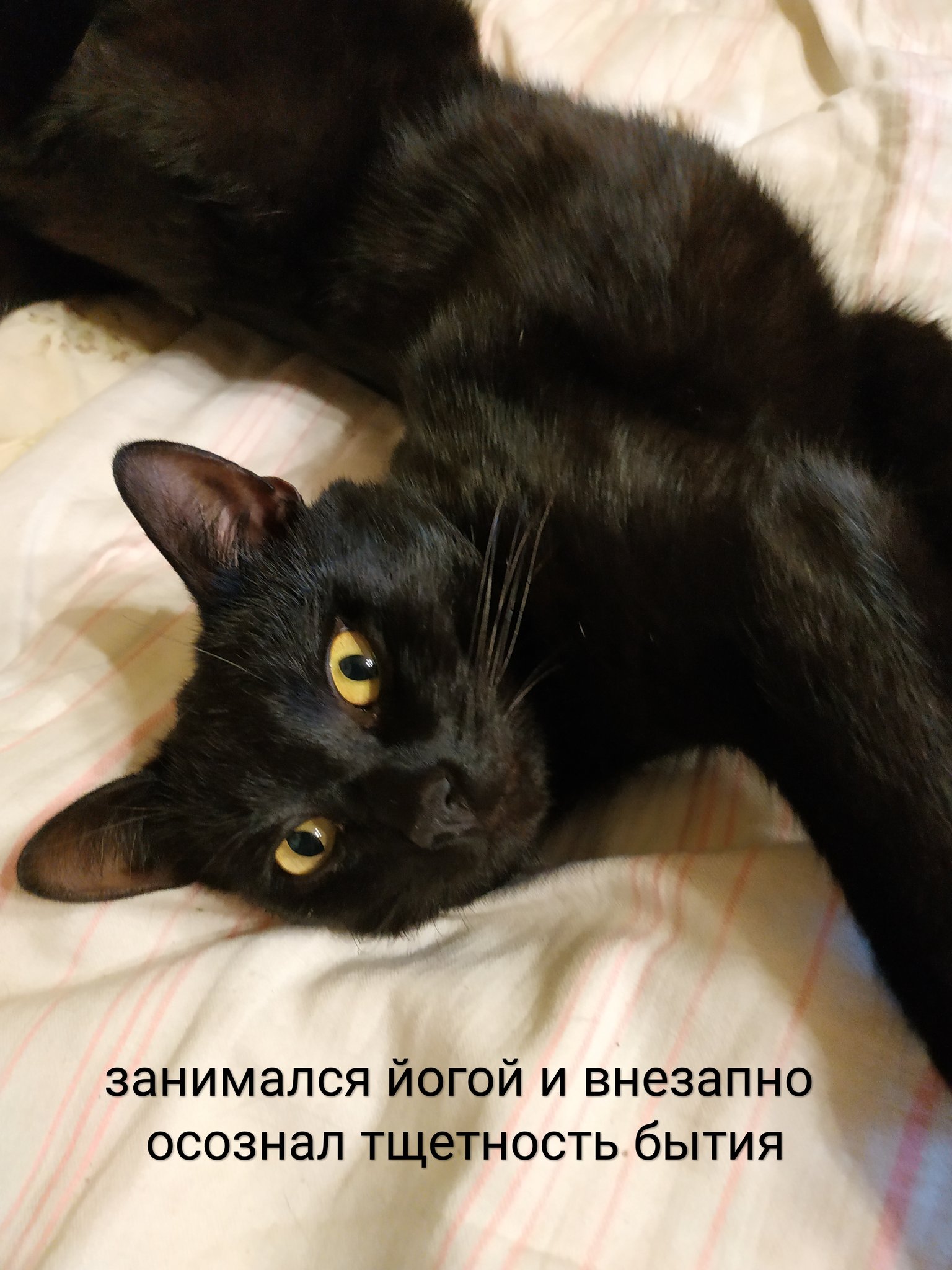 D9YYnvbWwAAXjtj.jpg:large