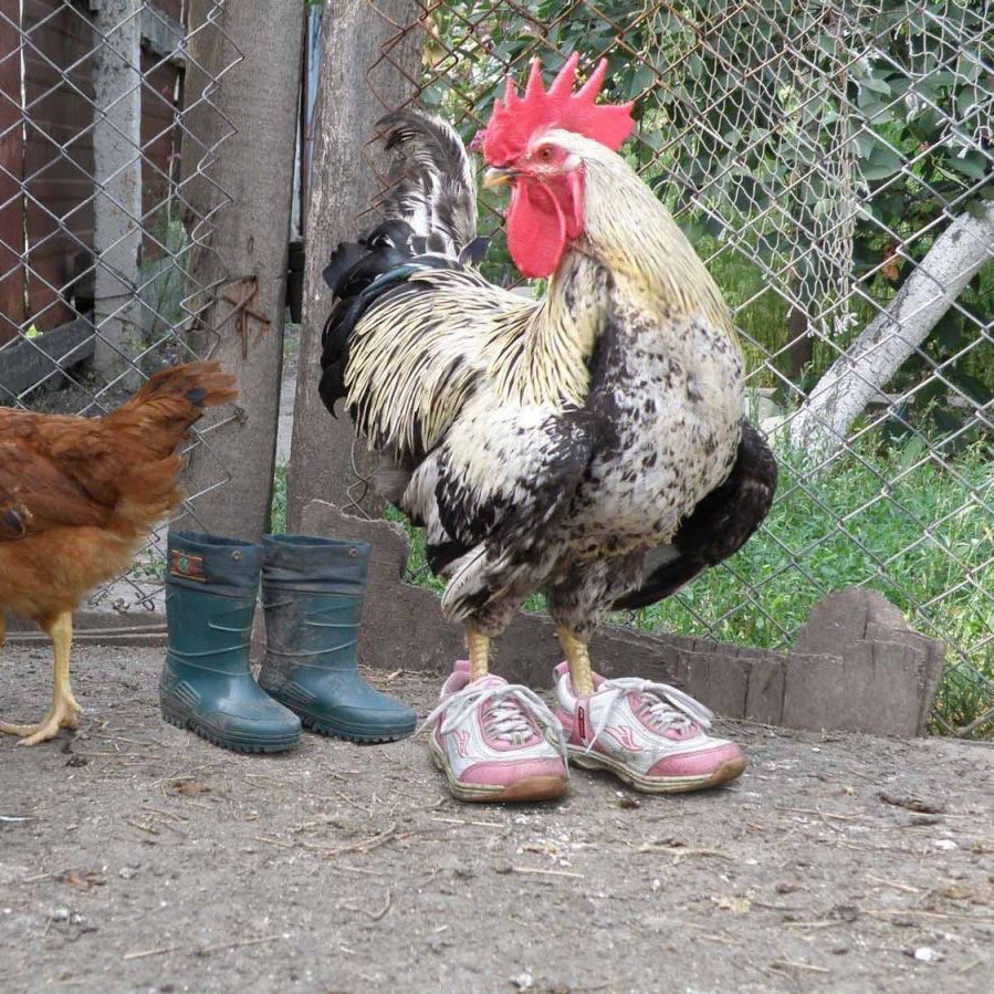 u can’t understand someone until u walk a mile in their shoes