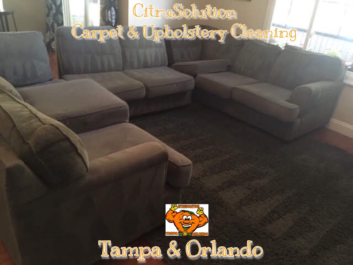 McCitrusolution's tweet image. #CitruSolution #Tampa &amp;amp; #Orlando 🍊🍋🍊🍋