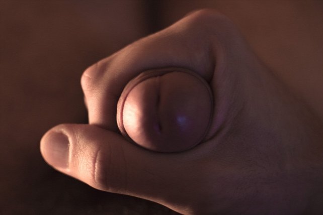 augustorph's tweet image. 