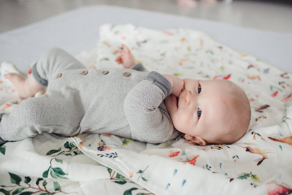 loulou lollipop sushi crib sheet