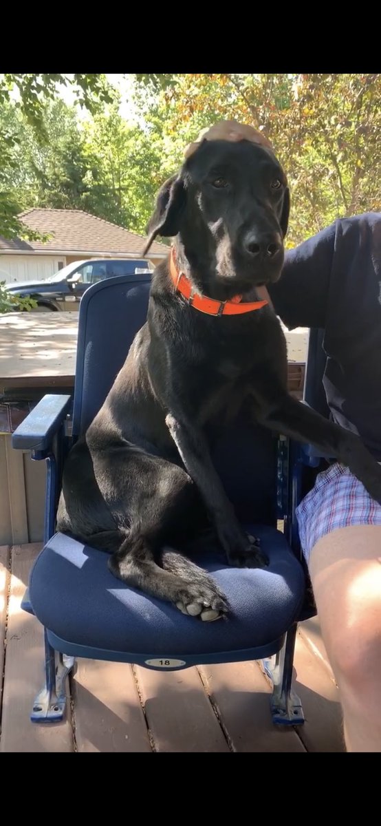 Chris Scheetz 🇨🇦 tweet media