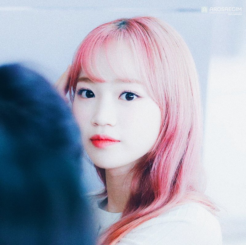 cherrythetic's tweet photo. Chaewon izone Pack
➴ RT or Fav if you save/use
#chaewon #chaewonaesthetic #chaewonpack
#aestheticpack
#izonepack https://t.co/bfIBfl0N6X