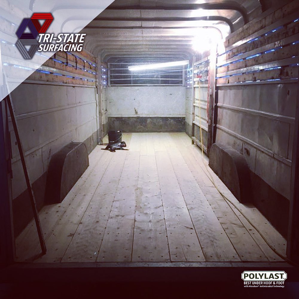 Wood floors? No problem! <a href="/polylast/">Polylast Global</a> rubber flooring can be installed on wood, metal and concrete.
.
#followforfollow #horse #horses #barrelracing #purina #priefert #polylastfloors #horsetrailer #ranch #cowgirl #rubberflooring #flooringinstallation #rodeo #equestrian #floor #equine